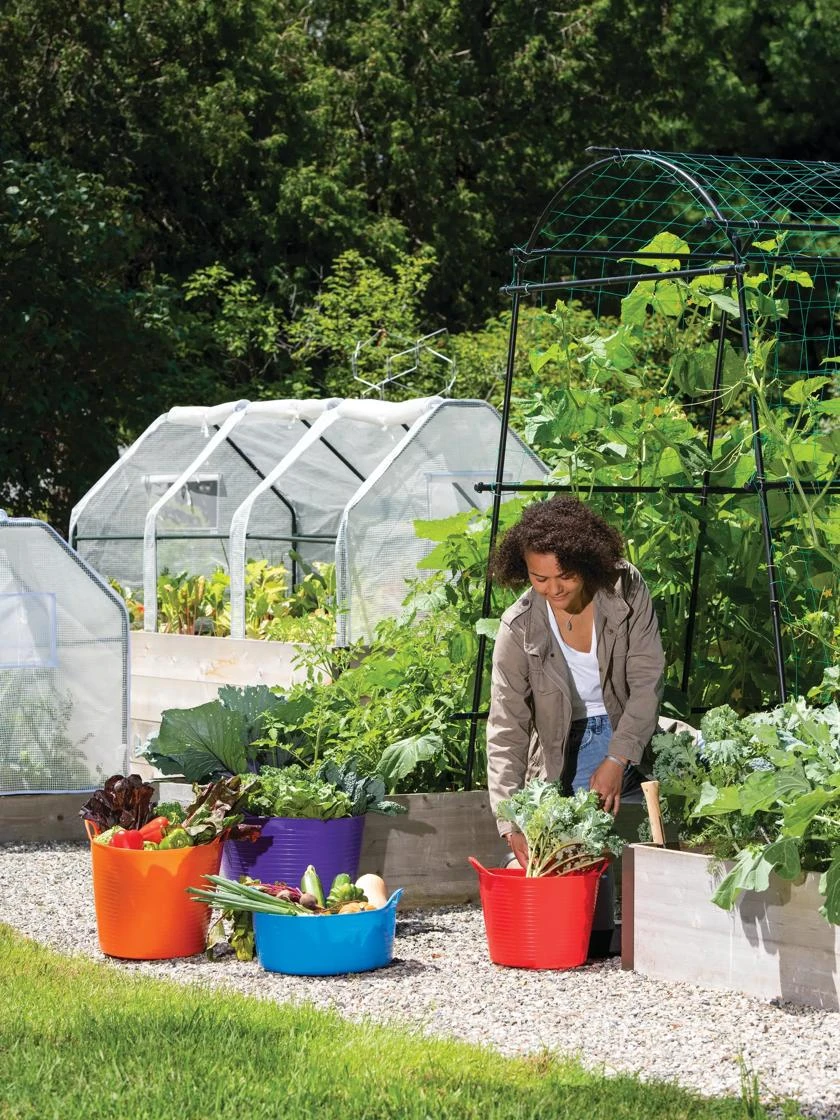 3-Season Plant Protection Tent, 4' X 8' - Image 2