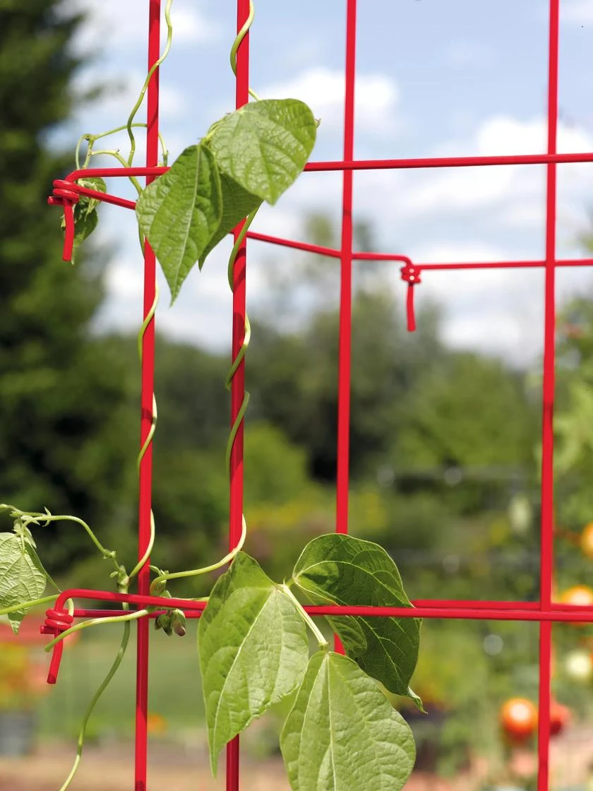 Bean Tower - Image 7