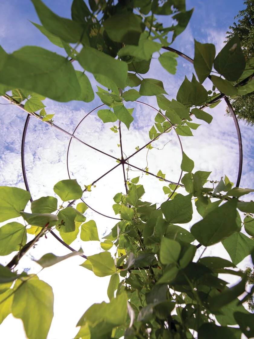 Jardin Tower - Image 5