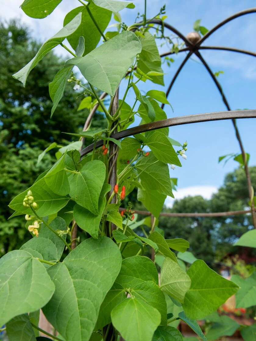 Jardin Tower - Image 3