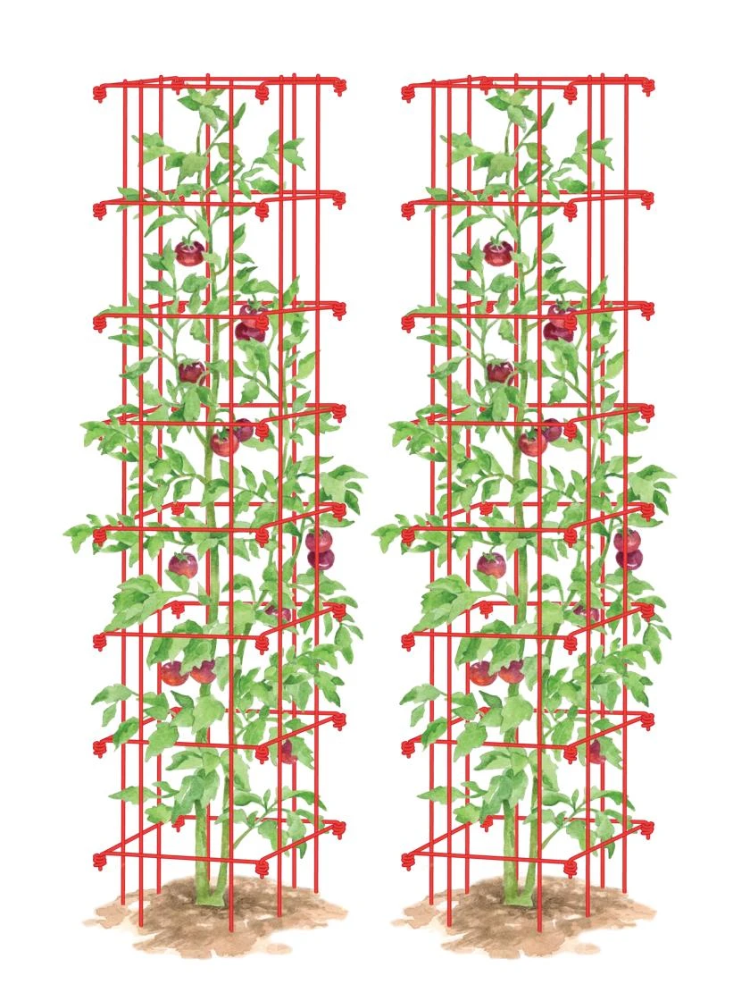 Tomato Towers, Set Of 2