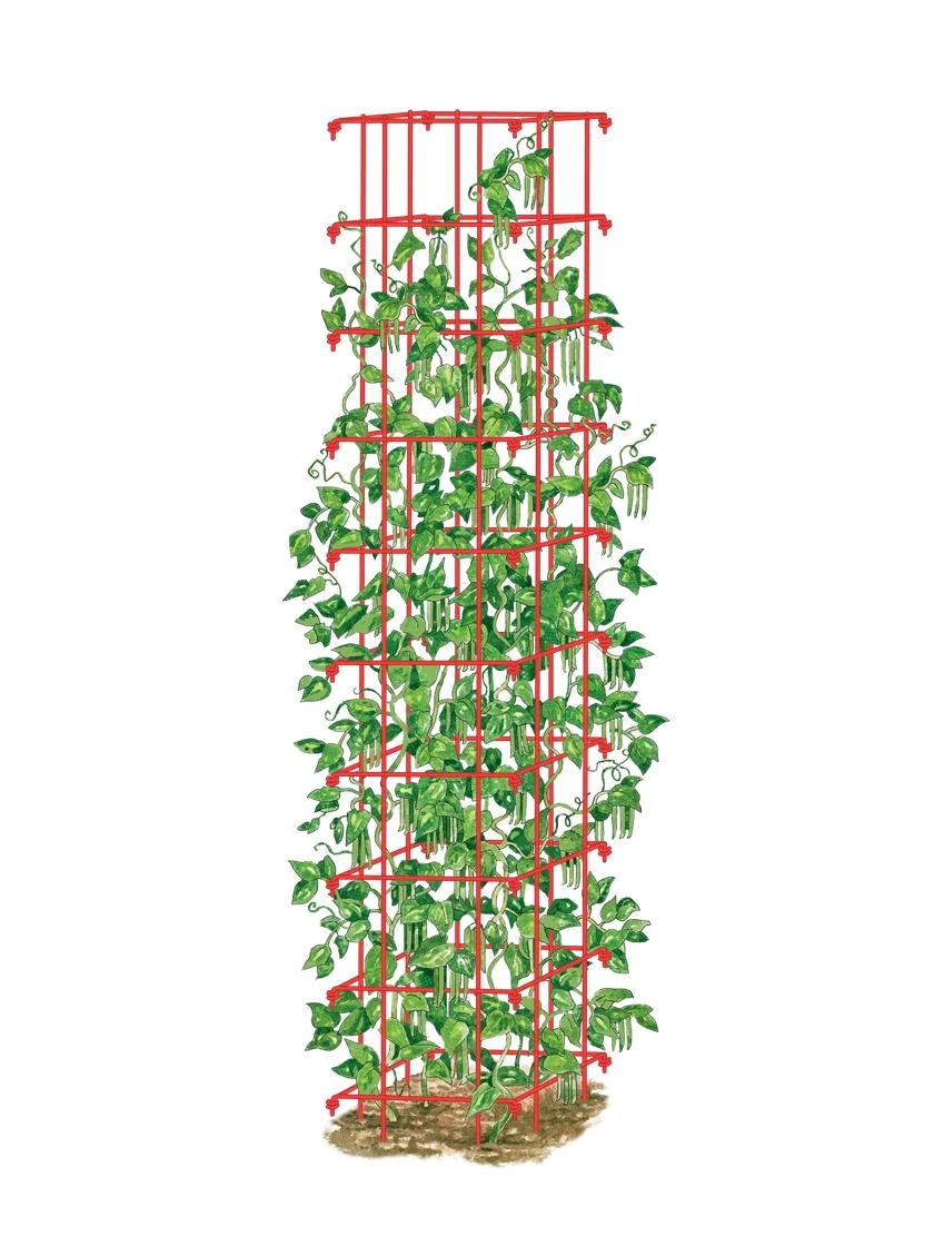 Bean Tower - Image 2