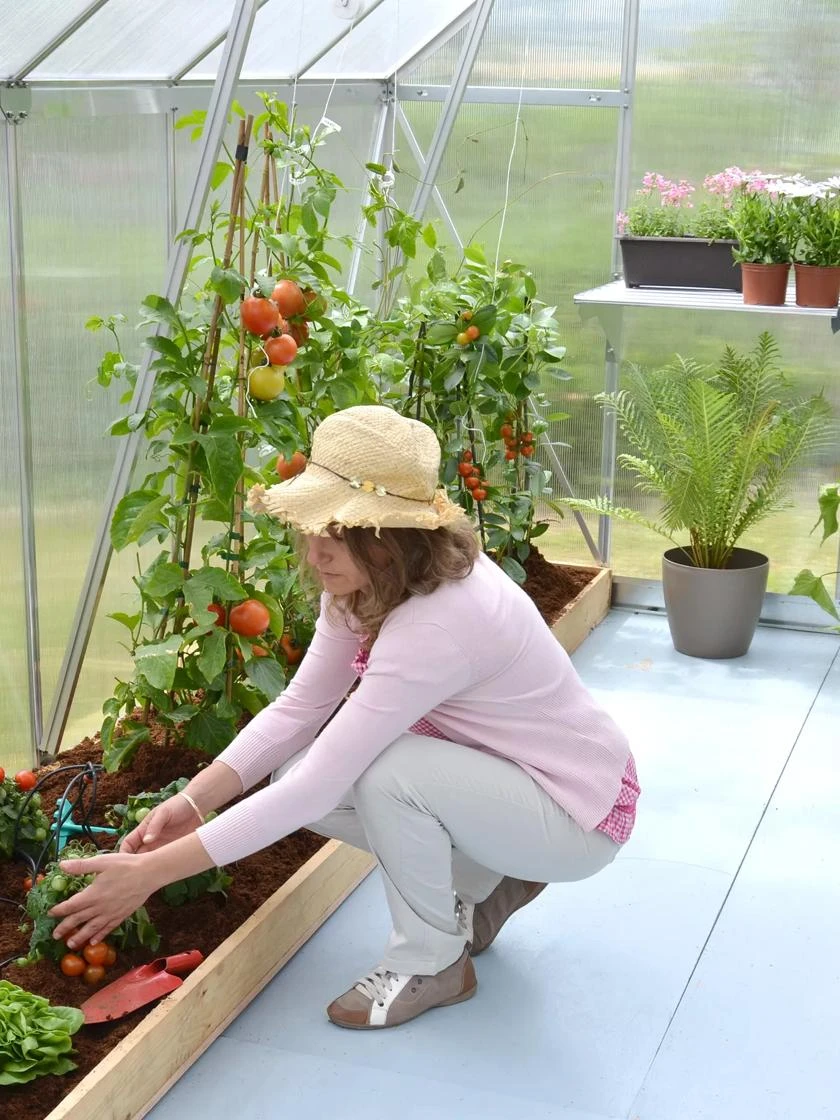 Canopia® By Palram Essence™ Greenhouse, 8' X 12' - Image 4