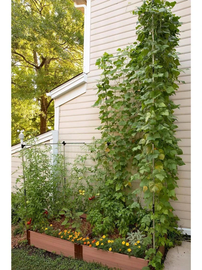 Stack & Extend Veggie Wall - Image 2