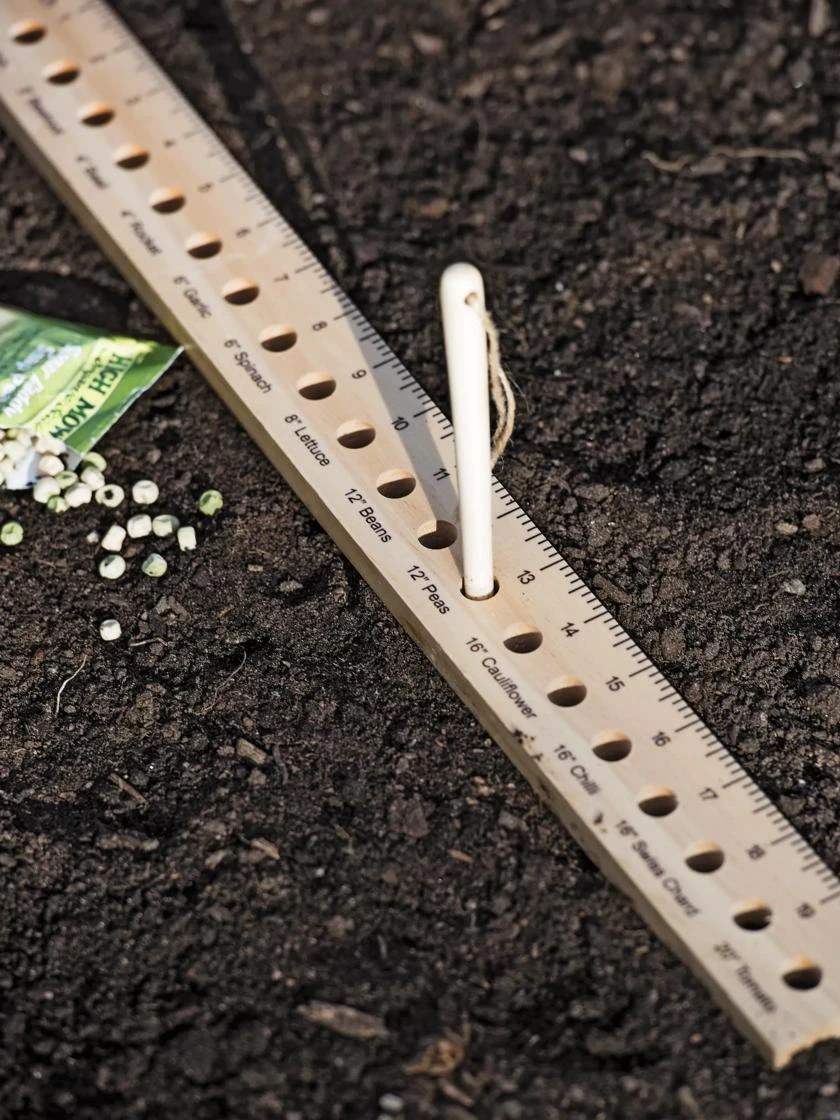 Intervale Seed And Plant Spacing Ruler