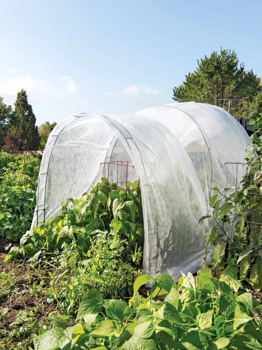 Super Hoop Bases, Set Of 6 - Image 2