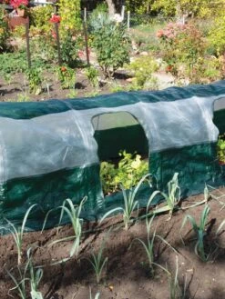 Super Dome Protection Tunnel