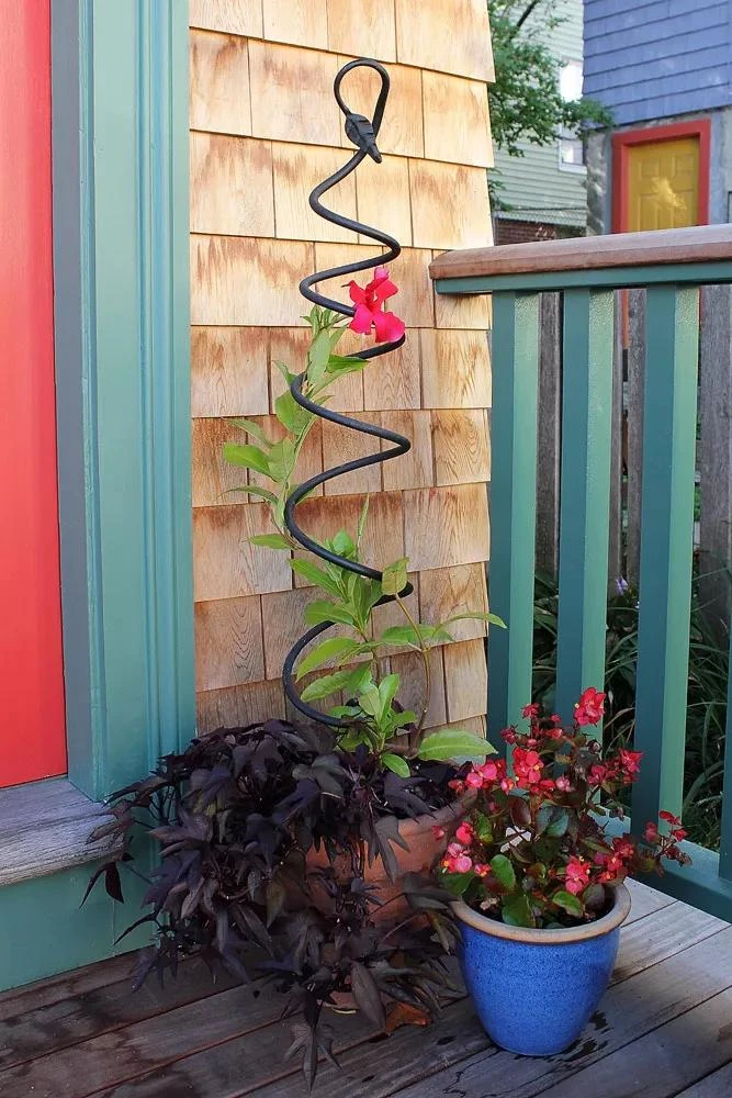 Achla Designs Spiral Trellis