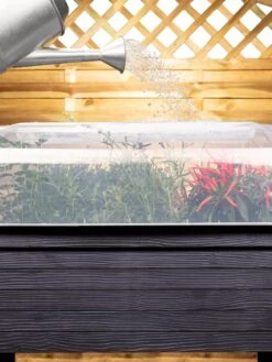 Urban Balcony Elevated Planter Cloche