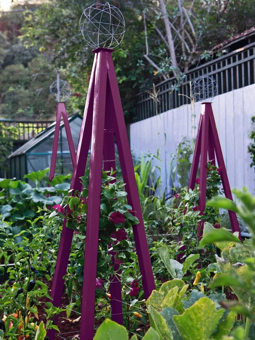 Akoris Garden Tuteur Sr.