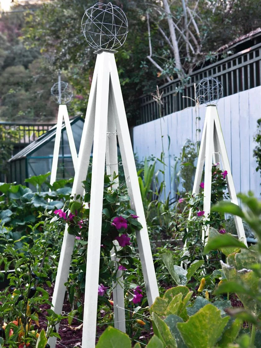 Akoris Garden Tuteur Sr. - Image 5