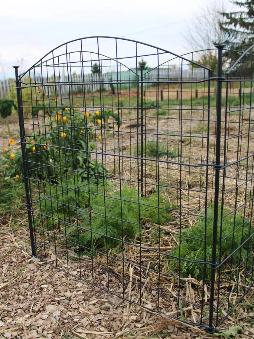 4 Panel Critter Fence - Image 2