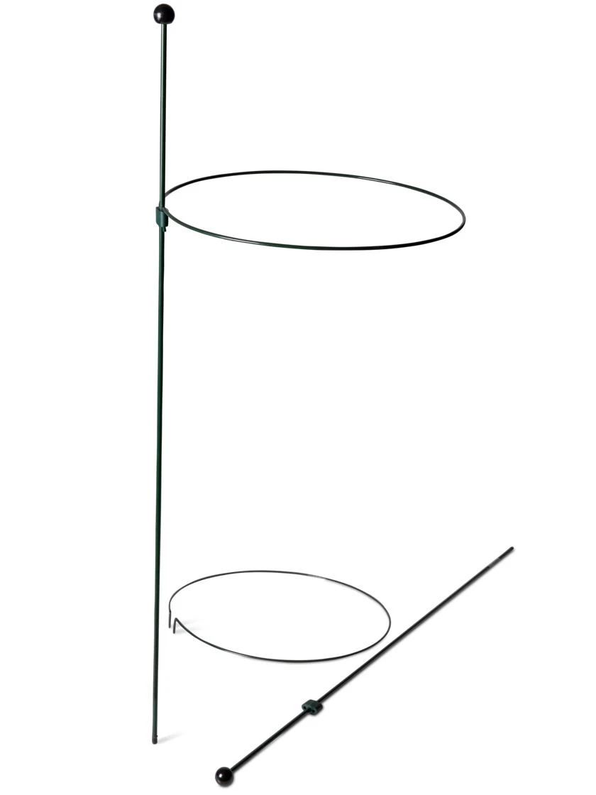 Peacock Classic Plant Support Rings 15", Set Of 2 - Image 4