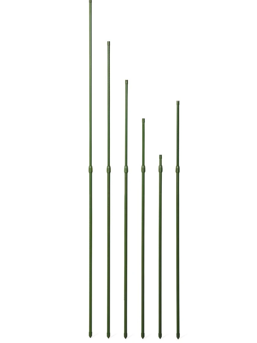 Titan Extendable Stakes, Set Of 6