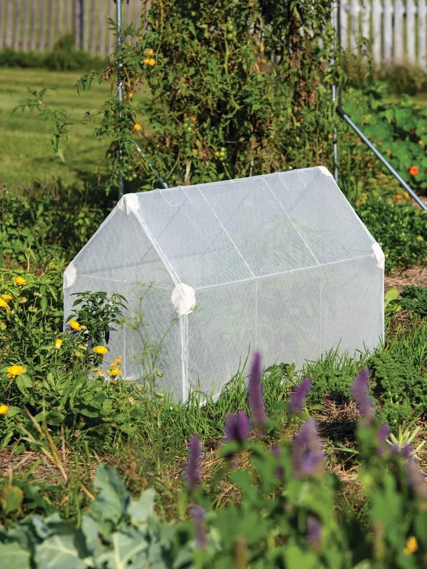 Crop Coop Covers Set - Image 2