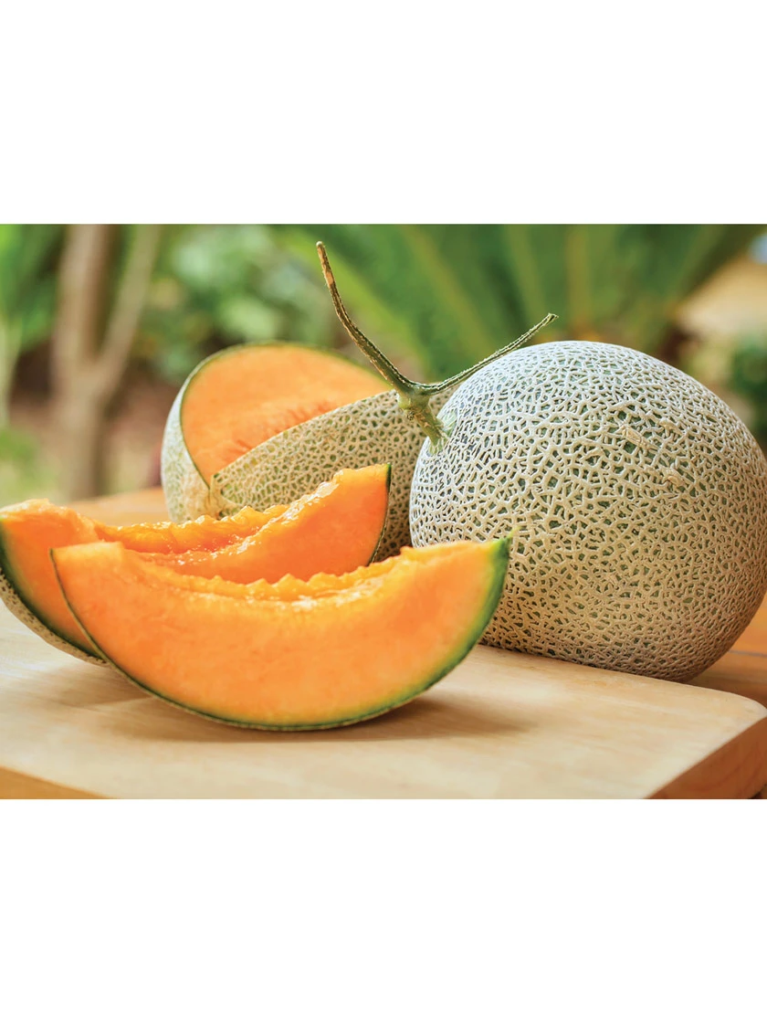 Hales Best Cantaloupe Organic Seeds - Image 2