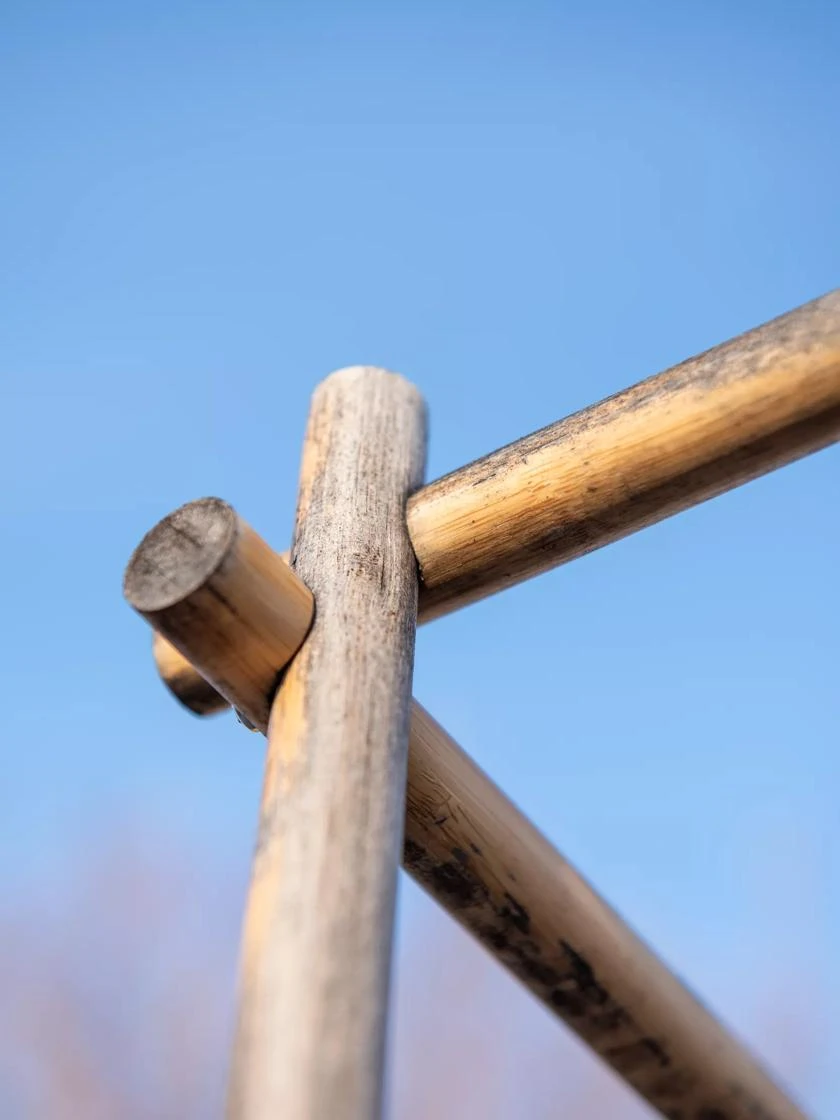 Bamboo Tomato Cages, Set Of 3 - Image 9