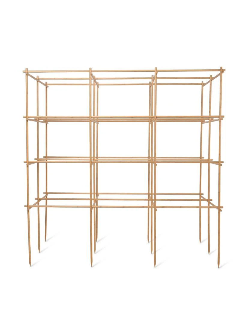 Tomato Six Pack Support - Image 6