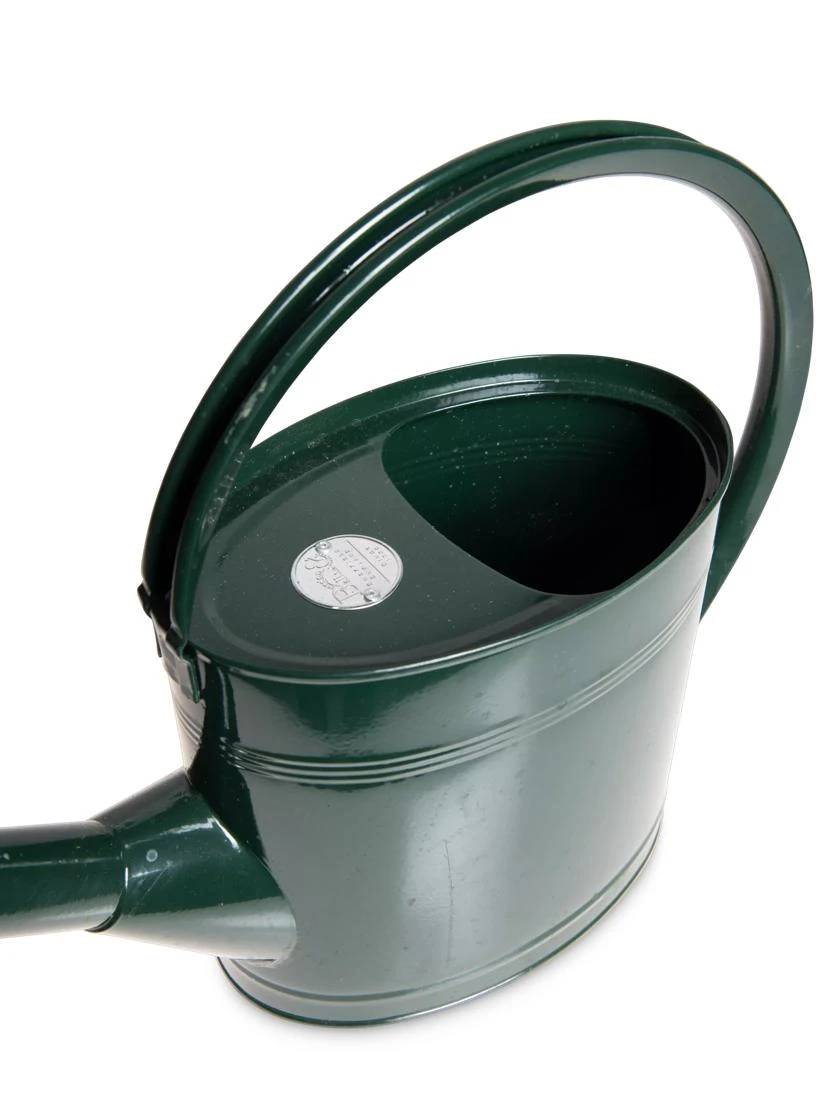 Long Reach Watering Can, Medium - Image 4