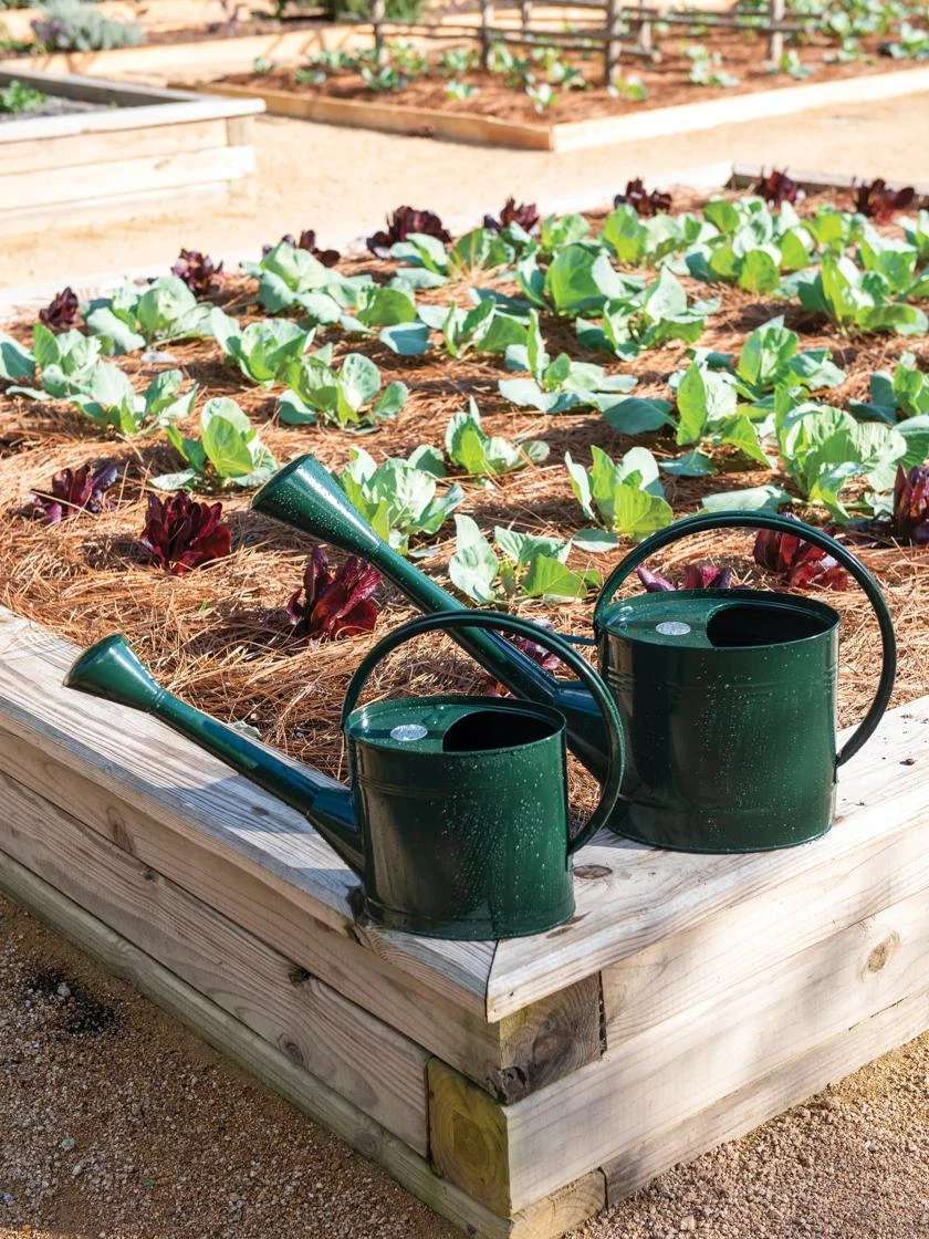 Long Reach Watering Can, Medium - Image 2