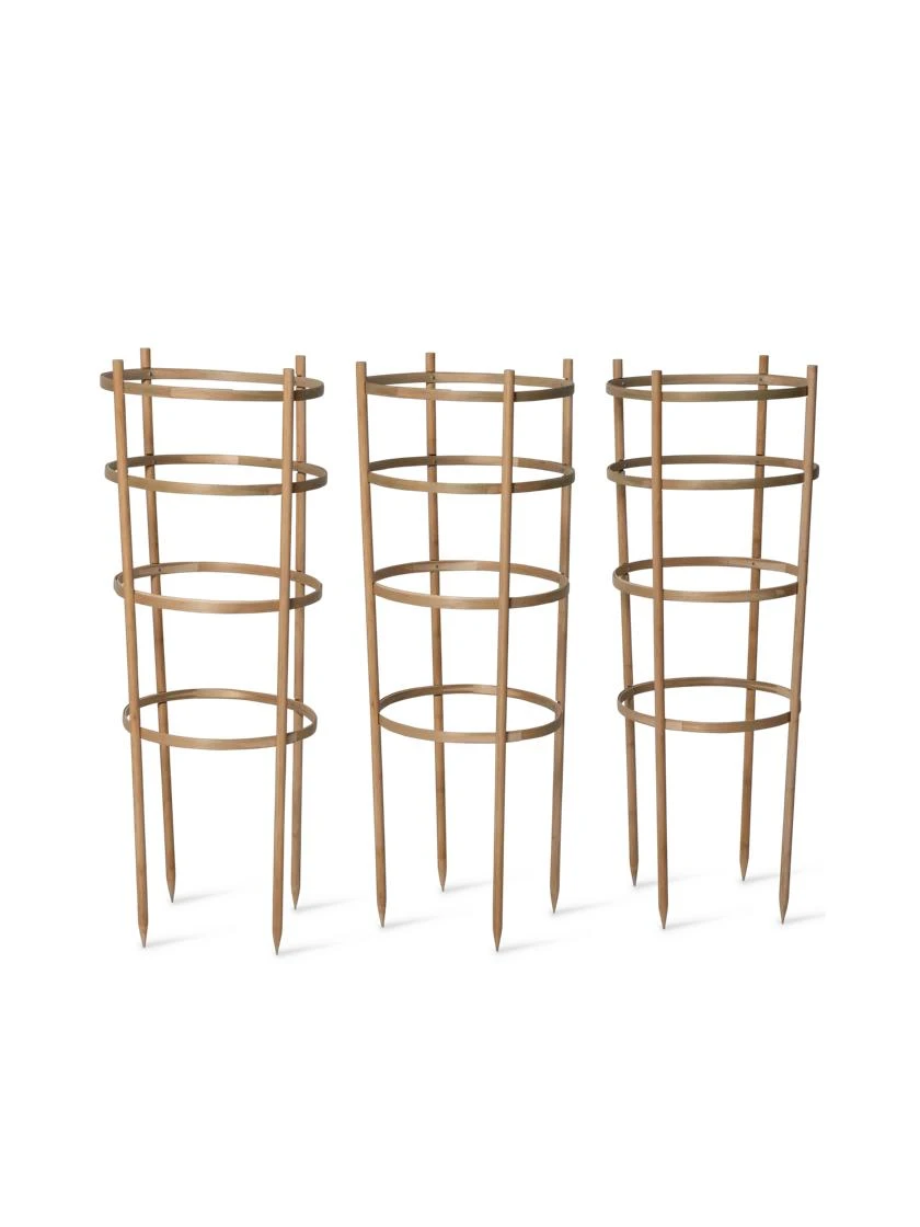 Bamboo Tomato Cages, Set Of 3 - Image 7